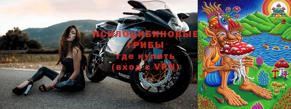 ПСИЛОЦИБИНОВЫЕ ГРИБЫ Белоозёрский