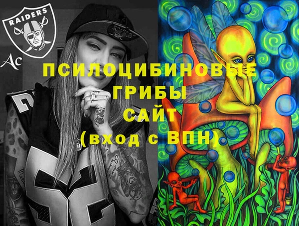 шишки Богородск