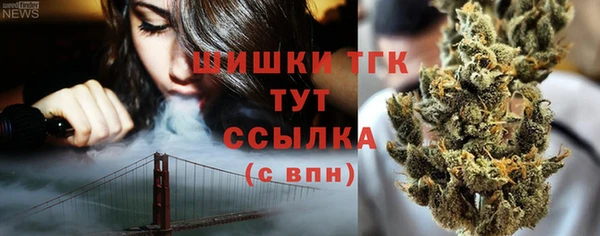 стаф Богданович