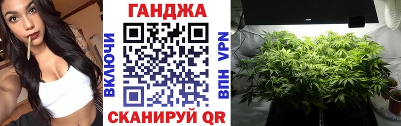 дарнет шоп  Навашино  гидра как войти  Марихуана семена 